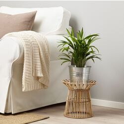 Suport pentru flori Ikea Kanelstang 29cm (Natur) Thumb