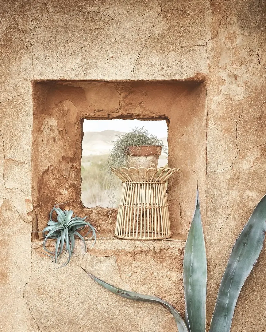 Suport pentru flori Ikea Kanelstang 29cm (Natur) - 3