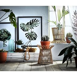 Suport pentru flori Ikea Kanelstang 29cm (Natur) Thumb