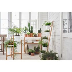 Стеллаж для цветов Ikea Satsumas 70cm (Бамбук/Белый) Thumb