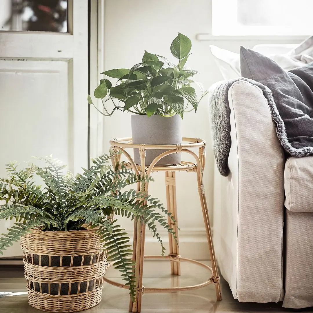 Suport pentru flori Ikea Tolkning 66cm (Natur)