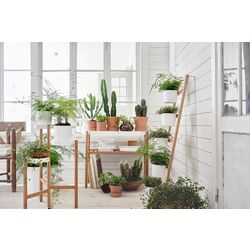 Etajera pentru flori Ikea Satsumas 5 ghivece 125cm (Bambus/Alb) Thumb