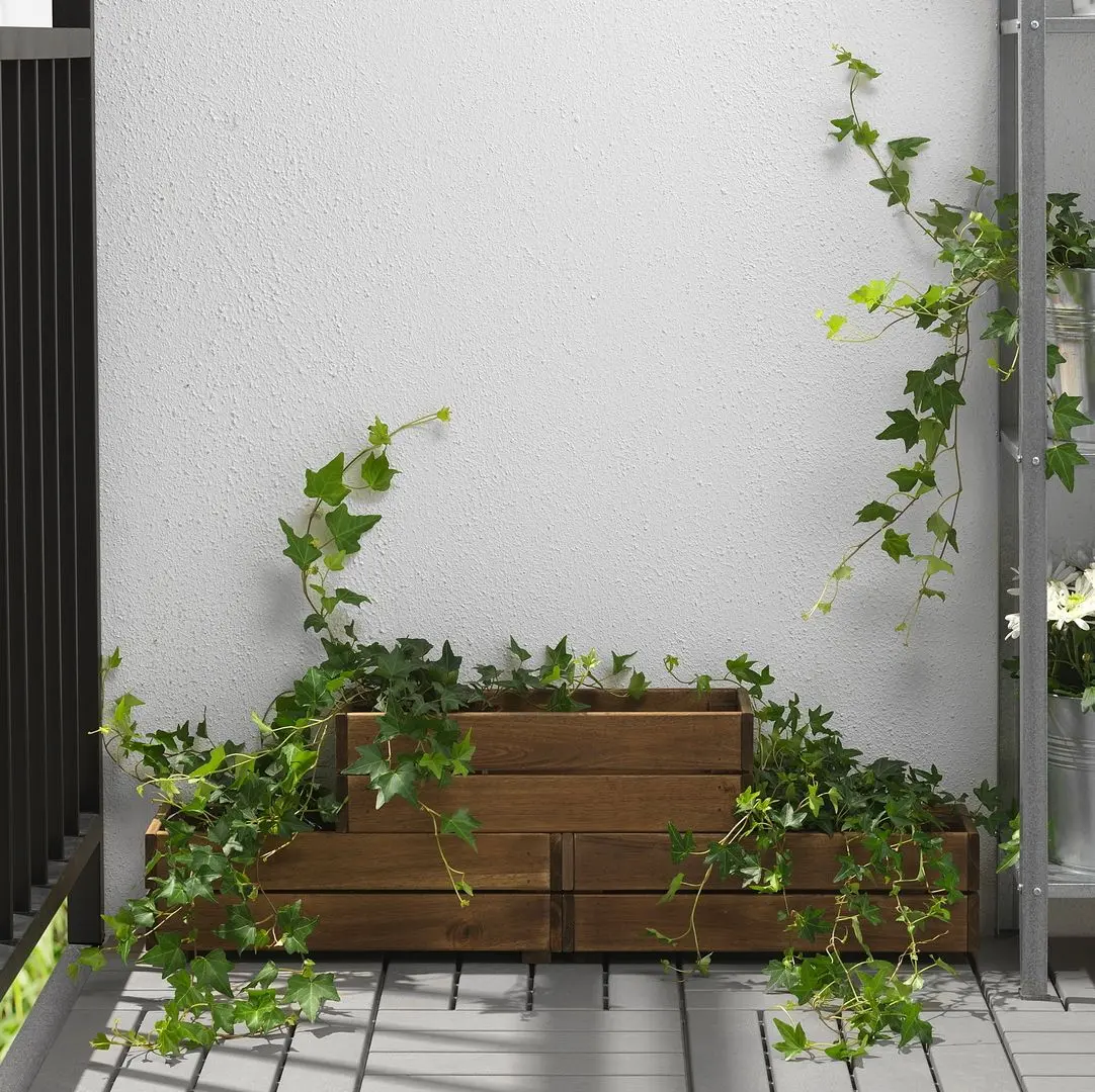 Jardiniera Ikea Stjarnanis 43x15 (Acacia) - 2