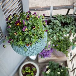 Цветочный горшок Keter Cozies M (Blue) Thumb