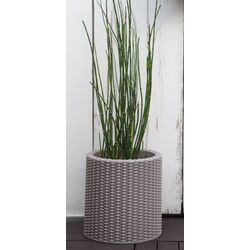 Цветочный горшок Keter Cylinder Planter M (Silver Grey) Thumb