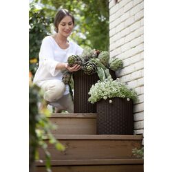 Ghiveci Keter Cylinder Planter S (Whiskey Brown) Thumb