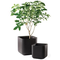 Горшок Keter Cube L (Brown) Thumb