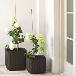 Горшок Keter Cube L (Brown) Thumb