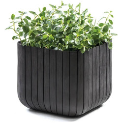 Горшок Keter Cube Planter M (Anthracite) Thumb