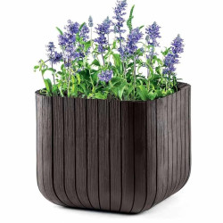 Горшок Keter Cube Planter S (Whiskey Brown) Thumb