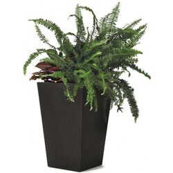 Ghiveci Keter Rattan Planter L (Anthracite)