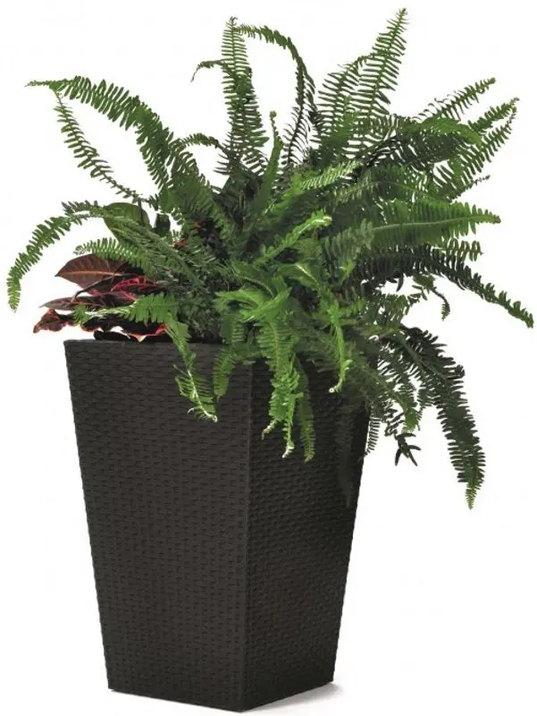 Ghiveci Keter Rattan Planter L (Anthracite)