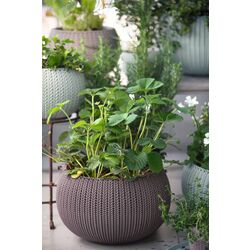 Кашпо Keter Cozy M (Brown) Thumb
