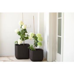 Ghiveci Keter Cube Planter L (Whiskey Brown) Thumb