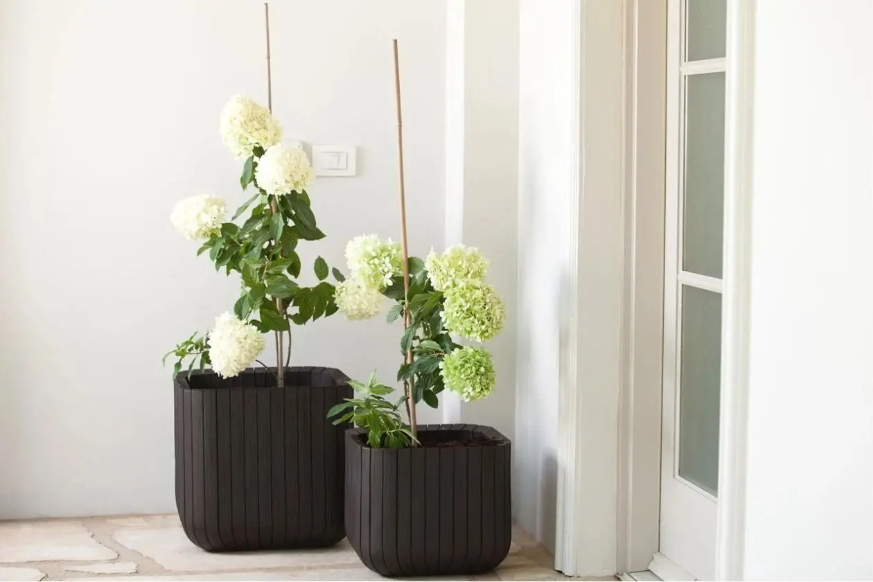 Ghiveci Keter Cube Planter L (Whiskey Brown) - 2