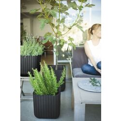Ghiveci Keter Cube Planter M (Anthracite) Thumb