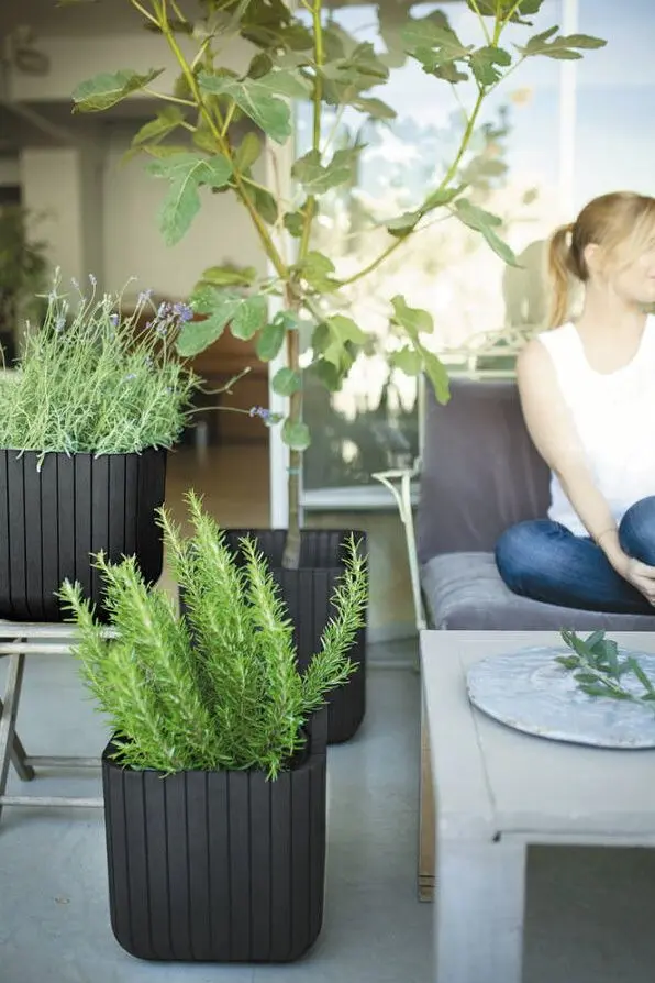 Ghiveci Keter Cube Planter M (Anthracite) - 2