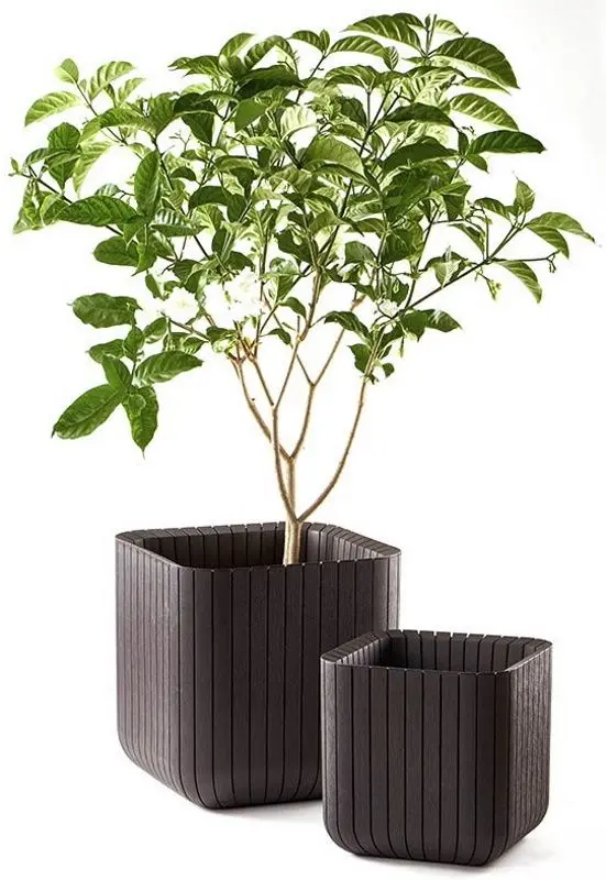 Ghiveci Keter Cube Planter M (Whiskey Brown) - 2
