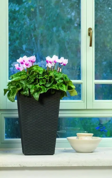 Кашпо Keter Rattan Planter S (Whiskey Brown) - 3