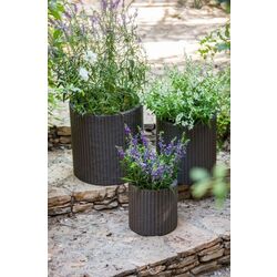 Set ghivece Keter Cylinder Planter S+M+L (Whiskey Brown) Thumb