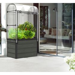 Jardiniera Keter Maple (Grey) Thumb