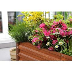 Jardiniera de flori Klarstein Rust Grow 10036159 (Brown) Thumb