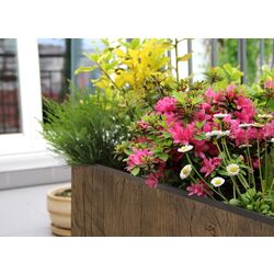 Jardiniera de flori Klarstein Timberflor 10032495 (Brown) Thumb