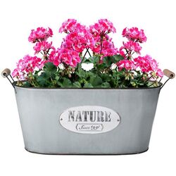 Ghiveci Koopman Nature 29x15 (Grey) Thumb