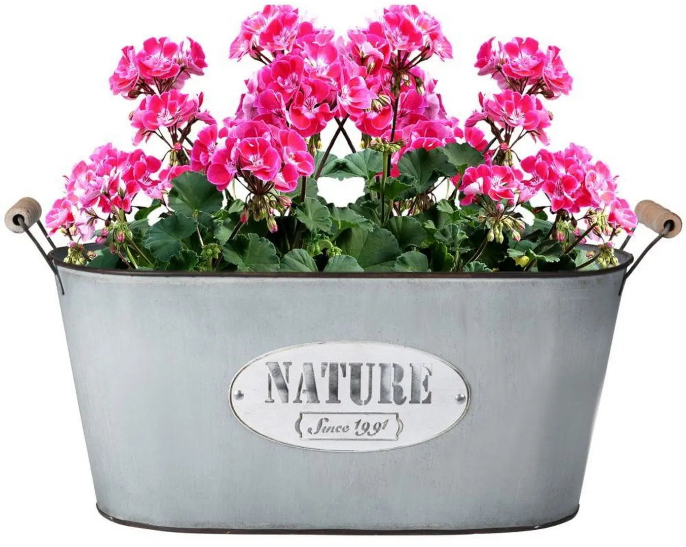 Ghiveci Koopman Nature 29x15 (Grey) - 4