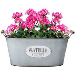 Кашпо Koopman Nature 39x19 (Grey) Thumb