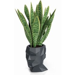 Ghiveci Monumo Adonis 40/25 (Anthracite) Thumb