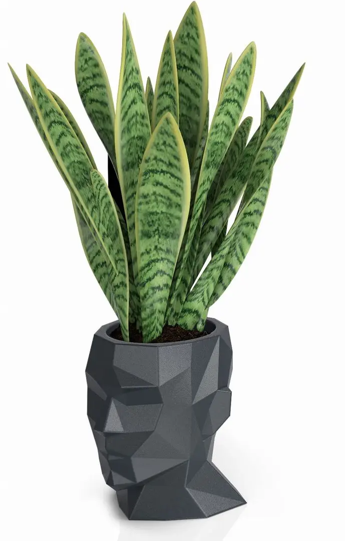 Ghiveci Monumo Adonis 40/25 (Anthracite) - 2