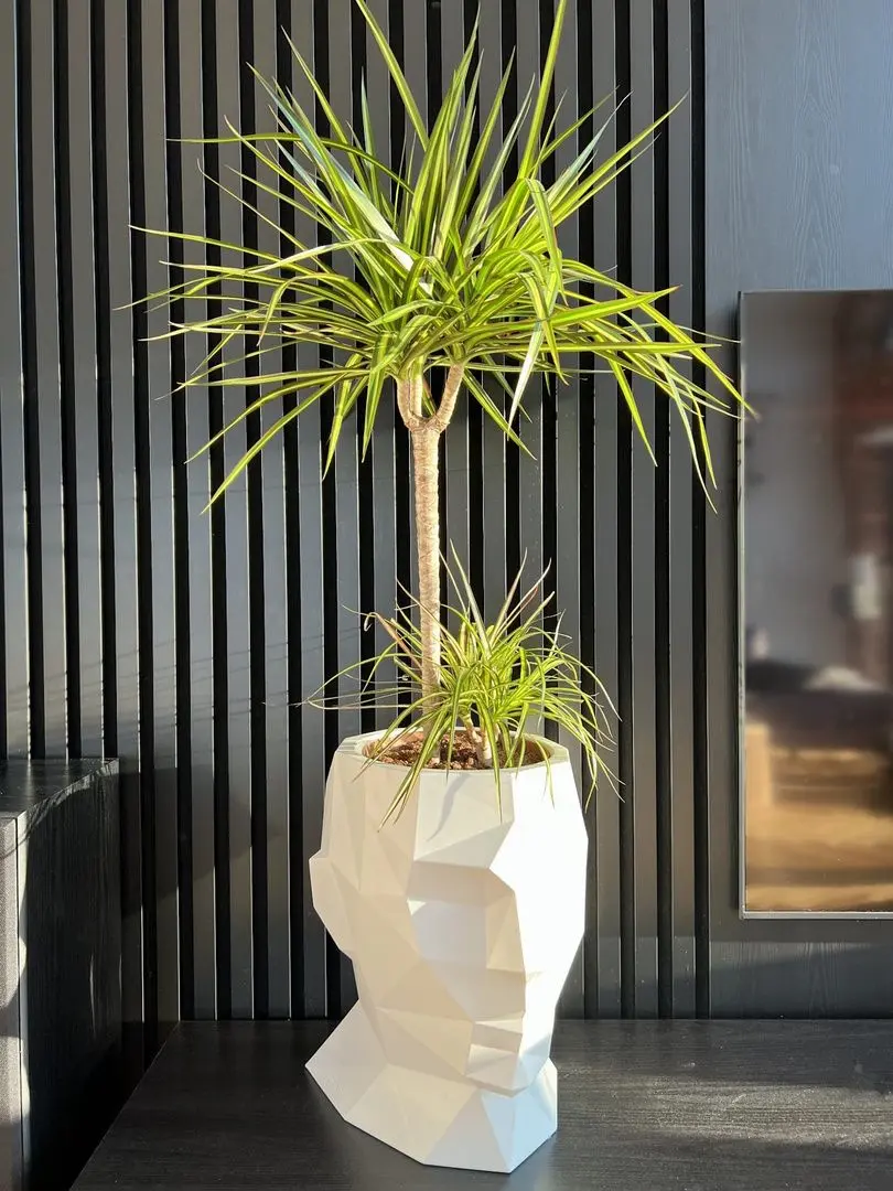 Ghiveci Monumo Adonis 40/25 (White) - 4