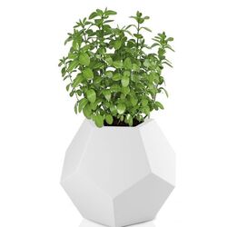 Ghiveci Monumo Alma 53cm (White) Thumb