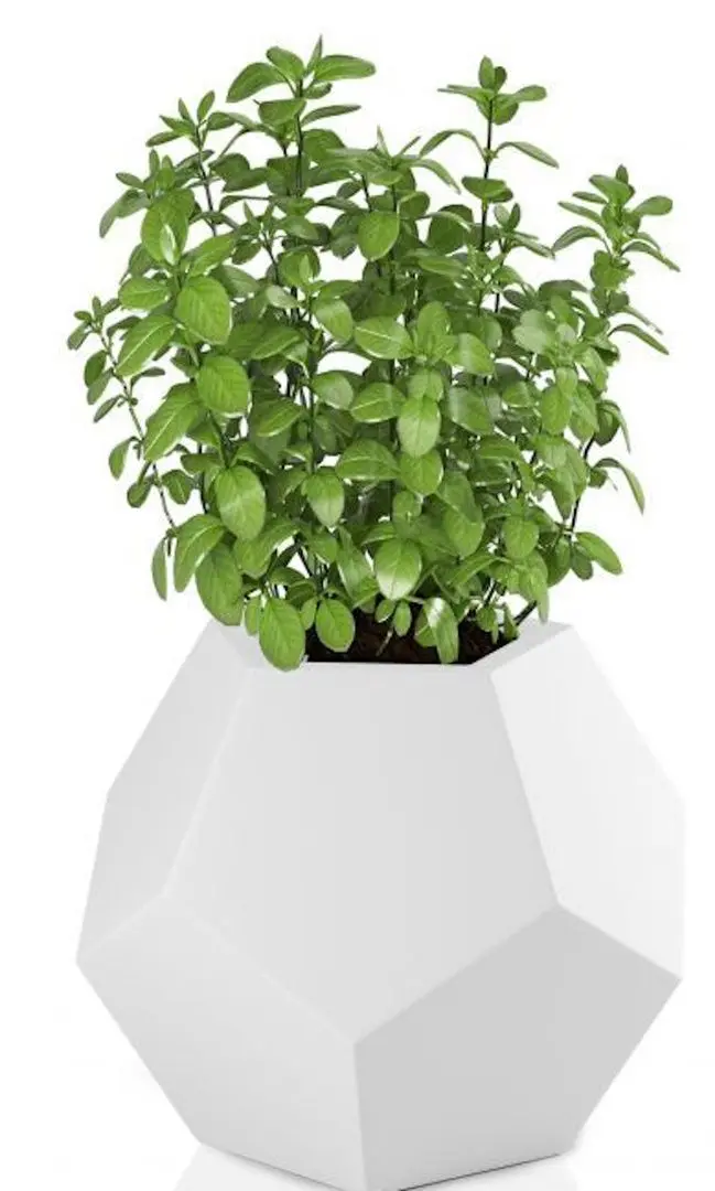 Ghiveci Monumo Alma Light 53cm (White) - 2