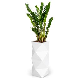 Горшок Monumo Asti 78cm (White) Thumb