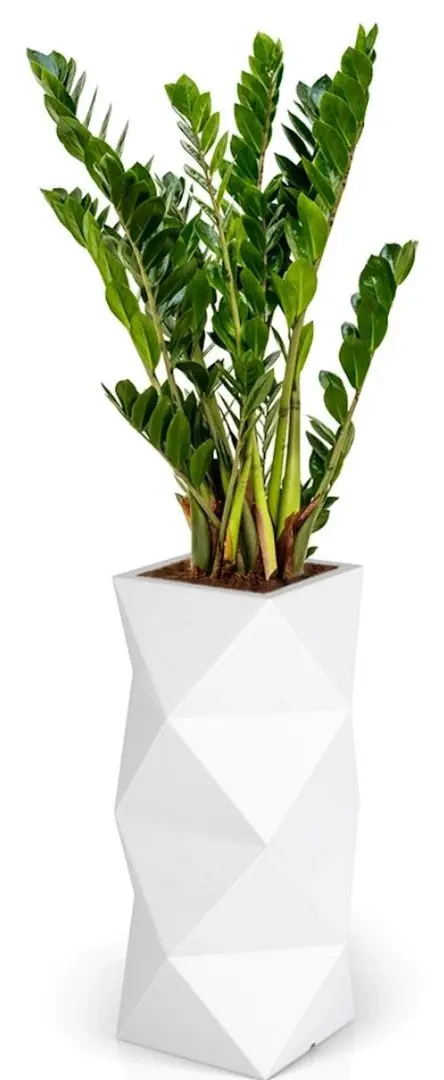 Горшок Monumo Asti 78cm (White) - 2