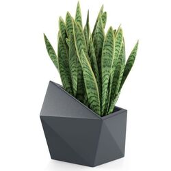 Горшок Monumo Astro 47.5/34 (Anthracite) Thumb