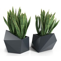 Горшок Monumo Astro 47.5/34 (Anthracite) Thumb