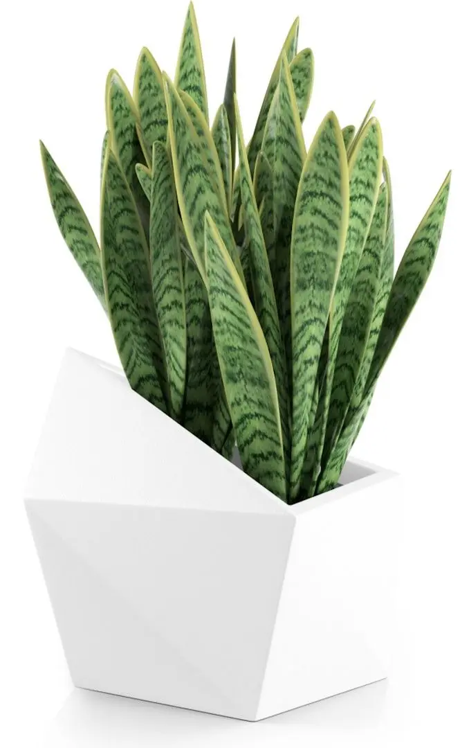 Горшок Monumo Astro 47.5/34 (White) - 2