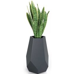 Ghiveci Monumo Bari 71cm (Anthracite) Thumb