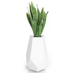 Ghiveci Monumo Bari 71cm (White) Thumb