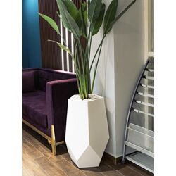 Ghiveci Monumo Bari 71cm (White) Thumb