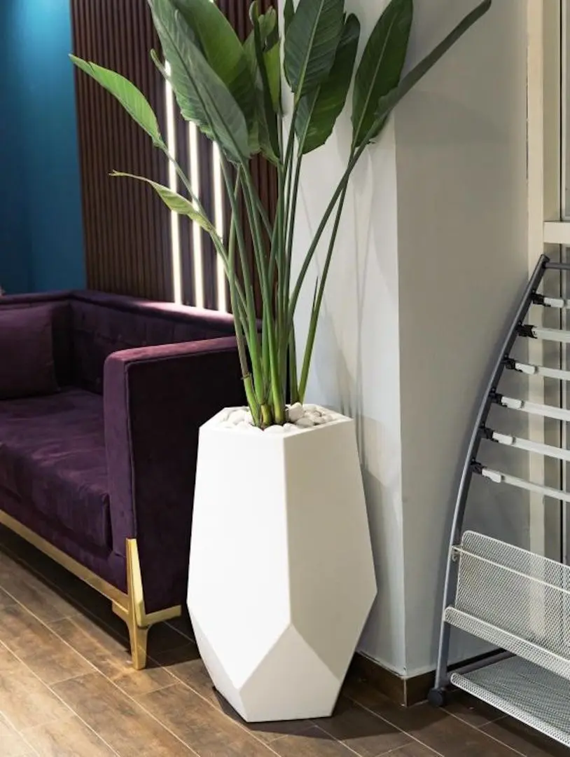 Ghiveci Monumo Bari 71cm (White) - 3