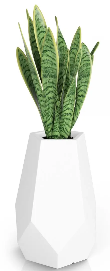 Горшок Monumo Bari Light 71cm (White) - 3