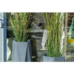 Ghiveci Monumo Flavi 54cm (Anthracite) Thumb