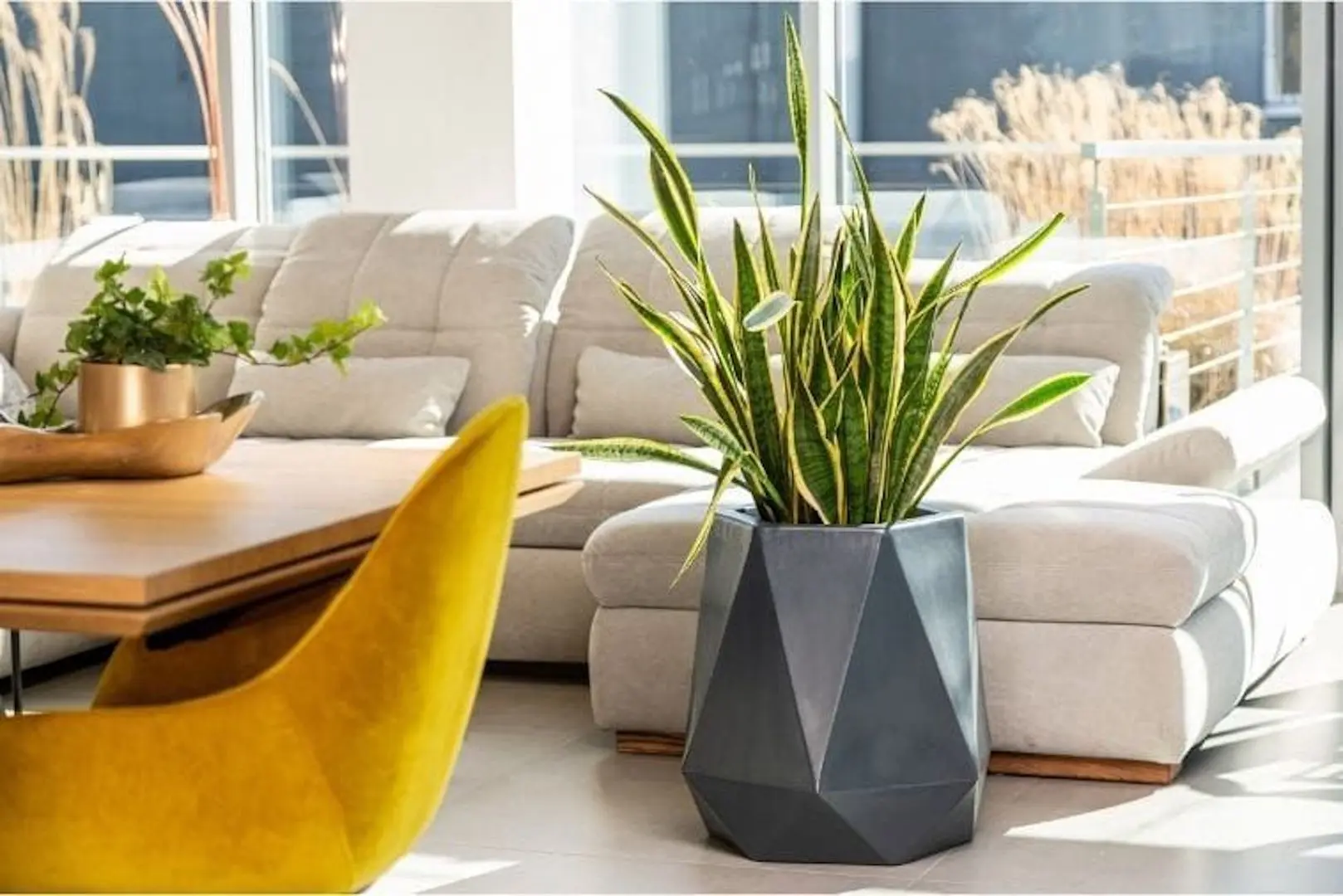 Ghiveci Monumo Flavi 54cm (Anthracite) - 3