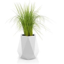 Ghiveci Monumo Flavi 54cm (White) Thumb