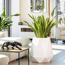 Ghiveci Monumo Flavi 54cm (White) Thumb