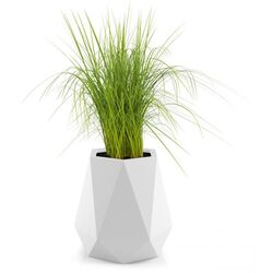 Ghiveci Monumo Flavi Light 54cm (White) Thumb